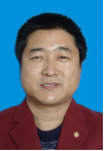 王晓东